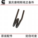 Chongqing Cummins KTA38 ship generator set engineering machinery diesel engine accessories 3176710 fuel supply pipe