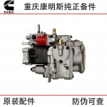 Chongqing Cummins KTA19 Marine Engineering Machinery Generator Set Diesel Engine Parts 3202167 3060945 Fuel Pump Assembly