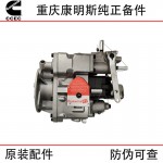 Chongqing Cummins KTA19 Marine Engineering Machinery Generator Set Diesel Engine Parts 3202167 3060945 Fuel Pump Assembly