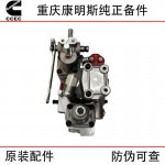 Chongqing Cummins KTA19 Marine Engineering Machinery Generator Set Diesel Engine Parts 3202167 3060945 Fuel Pump Assembly