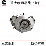 Chongqing Cummins KTA19 Marine Engineering Machinery Generator Set Diesel Engine Parts 3202167 3060945 Fuel Pump Assembly