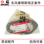 Dongfeng Cummins 6BT5.9 Engine Accessories 3281246 Engine Lifting Ears