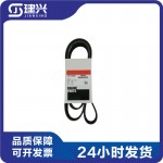 Cummins QSC8.3 Diesel Engine Parts Belt 3289347 3905874 3911584 3939710