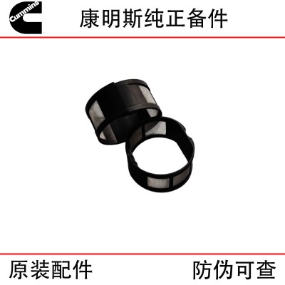 Cummins QSK60 Construction Machinery Generator Set Diesel Engine Parts 3348004 4009692 Fuel Injector Filter Screen