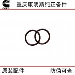 Chongqing Cummins K19 K38 marine engineering machinery generator set engine accessories 3348861 sealing ring