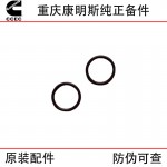 Chongqing Cummins K19 K38 marine engineering machinery generator set engine accessories 3348861 sealing ring