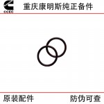 Chongqing Cummins K19 K38 marine engineering machinery generator set engine accessories 3348861 sealing ring