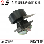 Dongfeng Cummins 6CT8.3 Generator Set Construction Machinery Engine Parts 3415366 3800974 Water Pump