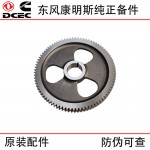 Dongfeng Cummins 6CT8.3 Marine Engine Parts 3415430 3918777 Camshaft Gear