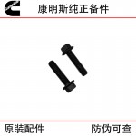 Xi'an Cummins ISM11 QSM11 Construction Machinery Diesel Engine Parts 3417474 Gasket Bolt