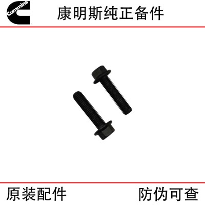 Xi'an Cummins ISM11 QSM11 Construction Machinery Diesel Engine Parts 3417474 Gasket Bolt