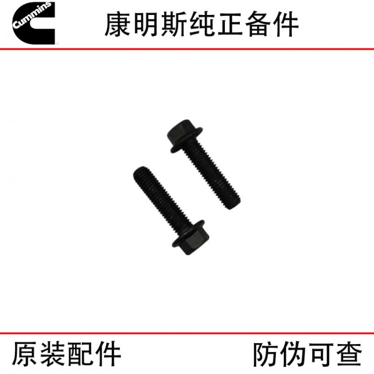 Xi'an Cummins ISM11 QSM11 Construction Machinery Diesel Engine Parts 3417474 Gasket Bolt