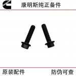 Xi'an Cummins ISM11 QSM11 Construction Machinery Diesel Engine Parts 3417474 Gasket Bolt
