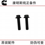 Xi'an Cummins ISM11 QSM11 Construction Machinery Diesel Engine Parts 3417474 Gasket Bolt