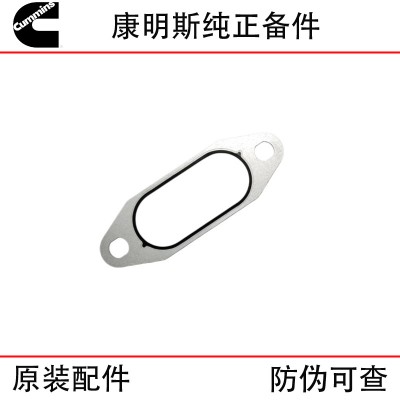 Cummins ISX15 QSX15 Construction Machinery Diesel Engine Parts 3688557 3684337 Heater Gasket