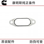 Cummins ISX15 QSX15 Construction Machinery Diesel Engine Parts 3688557 3684337 Heater Gasket