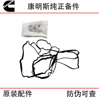 Foton Cummins ISG Engineering Machinery Truck Diesel Engine Parts 3692298 3695880 Oil Bottom Sealing Gasket