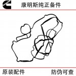 Foton Cummins ISG Engineering Machinery Truck Diesel Engine Parts 3692298 3695880 Oil Bottom Sealing Gasket
