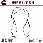 Foton Cummins ISG Engineering Machinery Truck Diesel Engine Parts 3692298 3695880 Oil Bottom Sealing Gasket
