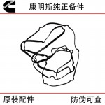 Foton Cummins ISG Engineering Machinery Truck Diesel Engine Parts 3692298 3695880 Oil Bottom Sealing Gasket