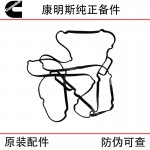 Foton Cummins ISG Engineering Machinery Truck Diesel Engine Parts 3692298 3695880 Oil Bottom Sealing Gasket