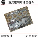 Chongqing Cummins KTA38 Ship Engineering Machinery Generator Set Engine Parts 3800730 Upward Repair Package