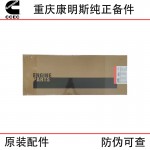 Chongqing Cummins KTA38 Ship Generator Unit Engineering Machinery Engine Parts 3804301 Lower Repair Package