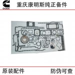 Chongqing Cummins KTA38 Ship Generator Unit Engineering Machinery Engine Parts 3804301 Lower Repair Package