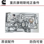 Chongqing Cummins KTA38 Ship Generator Unit Engineering Machinery Engine Parts 3804301 Lower Repair Package