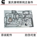 Chongqing Cummins KTA38 Ship Generator Unit Engineering Machinery Engine Parts 3804301 Lower Repair Package