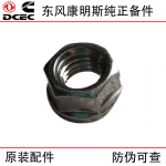 Dongfeng Cummins ISLE ISDE 6BT Construction Machinery Engine Parts 3818824 Turbocharger Double Head Nut