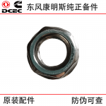 Dongfeng Cummins ISLE ISDE 6BT Construction Machinery Engine Parts 3818824 Turbocharger Double Head Nut