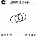 Cummins QSK60 construction machinery generator set diesel engine parts 3867651 injector sealing ring