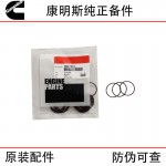 Cummins QSK60 construction machinery generator set diesel engine parts 3867651 injector sealing ring
