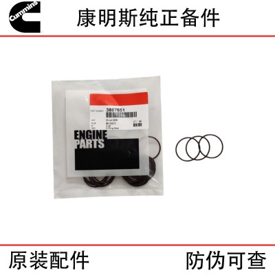 Cummins QSK60 construction machinery generator set diesel engine parts 3867651 injector sealing ring