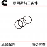 Cummins QSK60 construction machinery generator set diesel engine parts 3867651 injector sealing ring