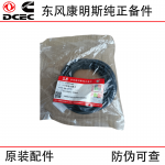 Dongfeng Cummins ISL9.5 Construction Machinery Diesel Engine Parts 3899283 O-ring