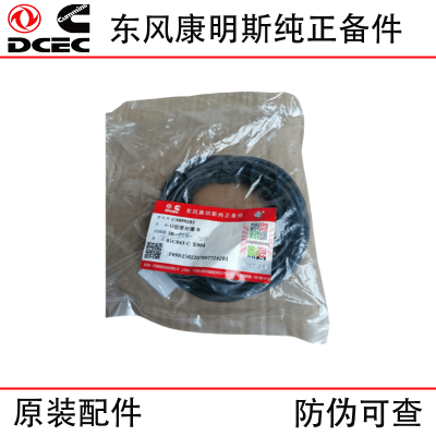 Dongfeng Cummins ISL9.5 Construction Machinery Diesel Engine Parts 3899283 O-ring