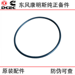 Dongfeng Cummins ISL9.5 Construction Machinery Diesel Engine Parts 3899283 O-ring