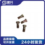 Dongfeng Cummins QSC 6BT 6CT Engineering Machinery Engine Parts 3903035 Pavo Joint Bolt