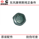 Dongfeng Cummins 4BT 6BT 6CT engine parts 3906619 cylinder block plug