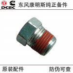 Dongfeng Cummins 4BT 6BT 6CT engine parts 3906619 cylinder block plug