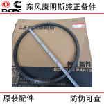 Dongfeng Cummins 6CT8.3 Generator Set Construction Machinery Engine Parts 3907308 Flywheel Ring Gear
