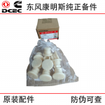 Dongfeng Cummins 6BT5.9 Engine Parts: 3910248 Thread Plug, 3910260 O-ring