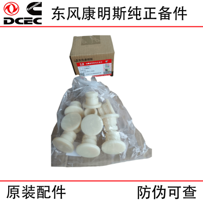 Dongfeng Cummins 6BT5.9 Engine Parts: 3910248 Thread Plug, 3910260 O-ring