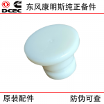 Dongfeng Cummins 6BT5.9 Engine Parts: 3910248 Thread Plug, 3910260 O-ring