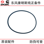 Dongfeng Cummins 6BT engine parts 3912473 crankshaft rear oil seal seat sealing ring