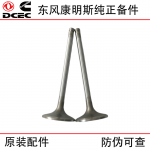 Dongfeng Cummins 6CT8.3 Construction Machinery Generator Set Engine Accessories 3924492 Inlet Valve