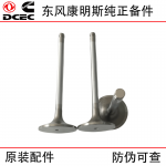 Dongfeng Cummins 6CT8.3 Construction Machinery Generator Set Engine Accessories 3924492 Inlet Valve