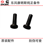 Dongfeng Cummins 6CT8.3 6L construction machinery engine parts 3931623 valve tappet body